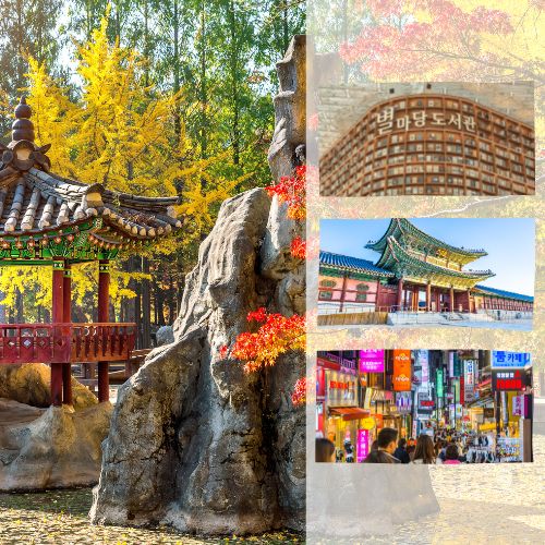 TripPlanner-Tour-PAKET WISATA 6D4N – BEAUTIFUL KOREA
