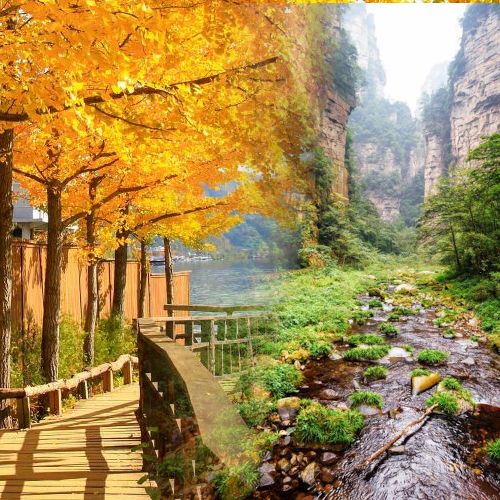 TripPlanner-Theme-Nature